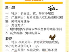 -猫猫幼稚园·撸猫·桌游·电玩