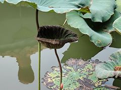 -番禺宾馆丽苑厅