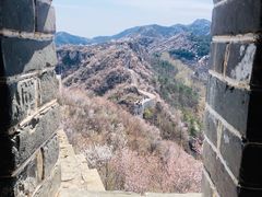 -龙泉峪长城