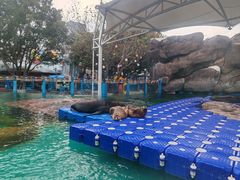 -海合安成都极地海洋公园