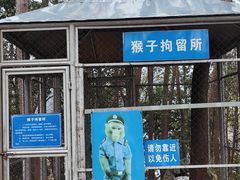 -千岛湖东南湖区