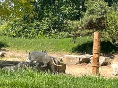 -北京野生动物园