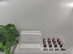 -蕾特恩专业祛痘·皮肤管理