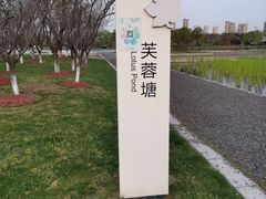 -尚贤河湿地