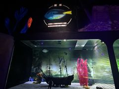 -秦皇岛乐岛海洋王国