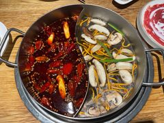 -青瓷火锅料理(西单大悦城店)