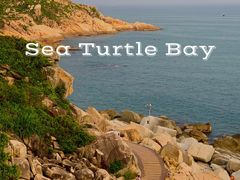 -广东惠东海龟国家级自然保护区