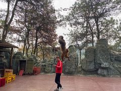 -石燕湖生态旅游景区