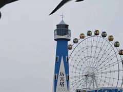 -大连圣亚海洋世界