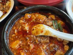-陈麻婆豆腐总店