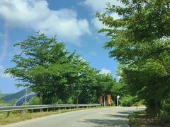 -盐洲岛