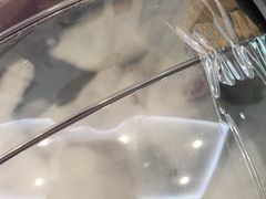 -纳吉亚猫专科动物医院·北北分院