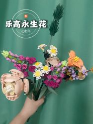 -乐高授权专卖店(朝阳大悦城店)