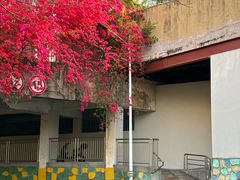 -求水山公园