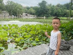 -西安市长乐公园