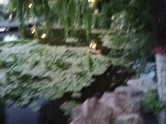-文瀛公园
