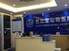 -芭比堂动物医院·24小时·眼科中心(深圳中心)