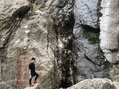 -王顺山国家森林公园