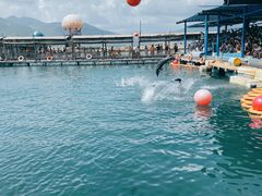 -海南分界洲岛旅游区