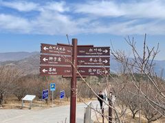 -北京西山国家森林公园