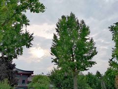 -大雁塔北广场音乐喷泉