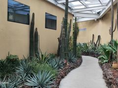 -正佳雨林生态植物园