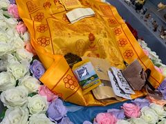 -彩虹桥宠物火化殡葬善终服务(金乐大厦店)