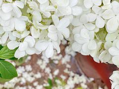 -大龙山(地铁站)