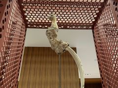 -二酉书店TOYOU BOOKS