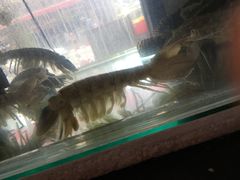 -泰华海鲜中餐厅(普吉镇店)