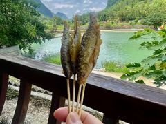-长寿村