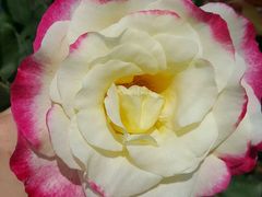 -同銮特种养殖场·龙虾垂钓