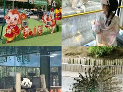 -栾川竹海野生动物园