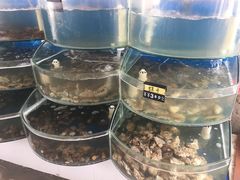 -叶存利海鲜大馅饺子(东戴河止锚湾店)