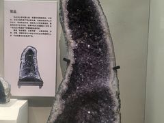 -天津自然博物馆