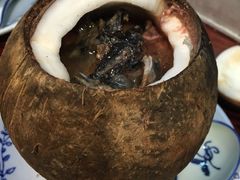 原只椰子炖竹丝鸡-達揚原味燉品(文明路店)