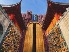 -上海东林寺(金山区)