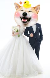 -金夫人婚纱摄影(总店)