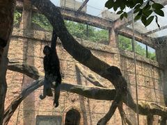 -南昌动物园