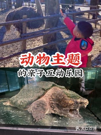 动物主题的亲子互动乐园