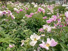-木塔寺遗址生态公园