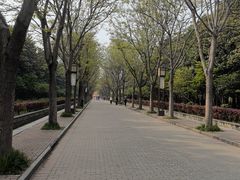 -洛阳市隋唐城遗址植物园