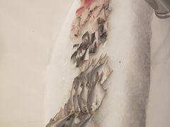 -一号桥自助火锅城(揽秀园西街店)