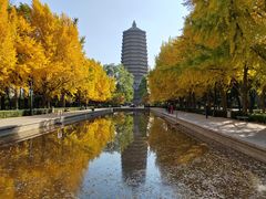-玲珑塔公园