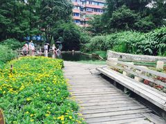 -成都市活水公园