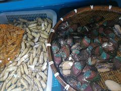 -港畔赶海蒸汽海鲜烧烤自助(仙螺岛店)