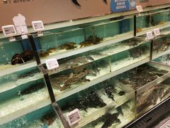 -盒马鲜生(顺义店)
