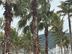 -大梅沙海滨公园