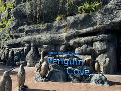 -新加坡飞禽公园