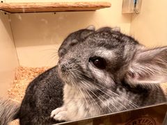 -龙猫仔乐园(惠福东路店)